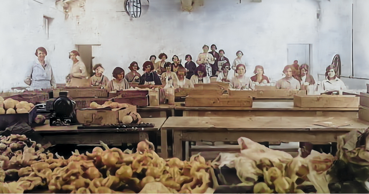 Petitcollin – Die Puppenmanufaktur aus Frankreich