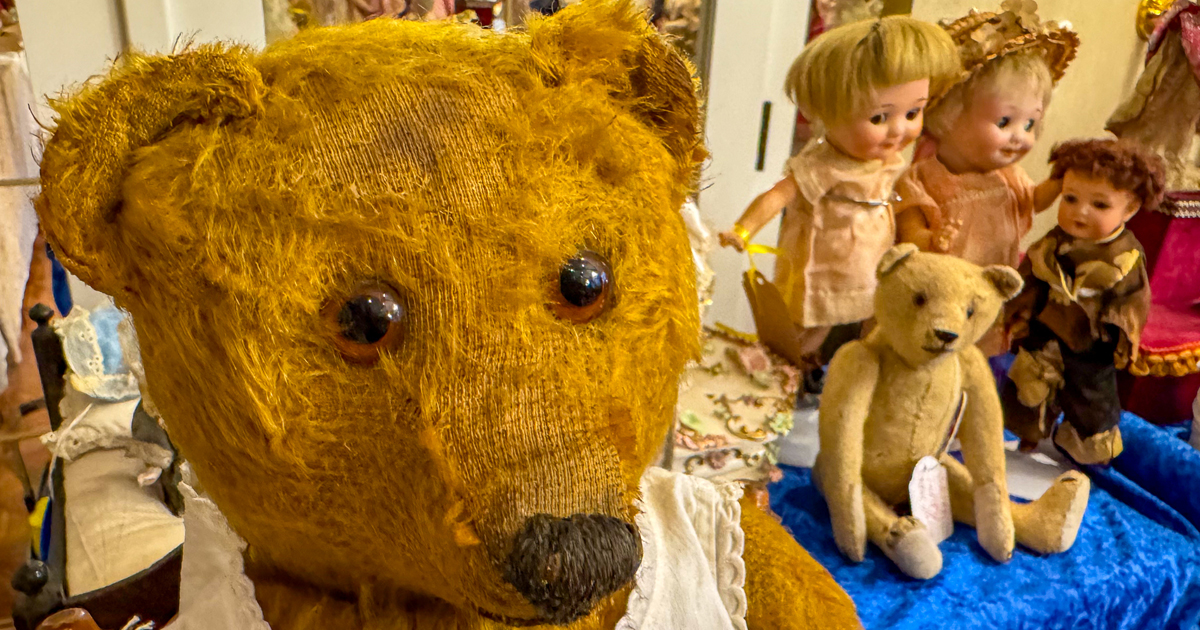 Porträt eines alten Sammler Teddybär