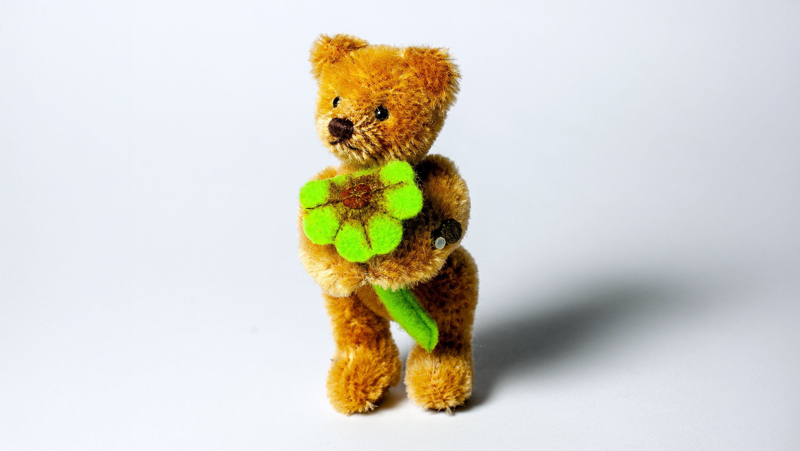 Miniatur Teddybär stehend mit Glückklee