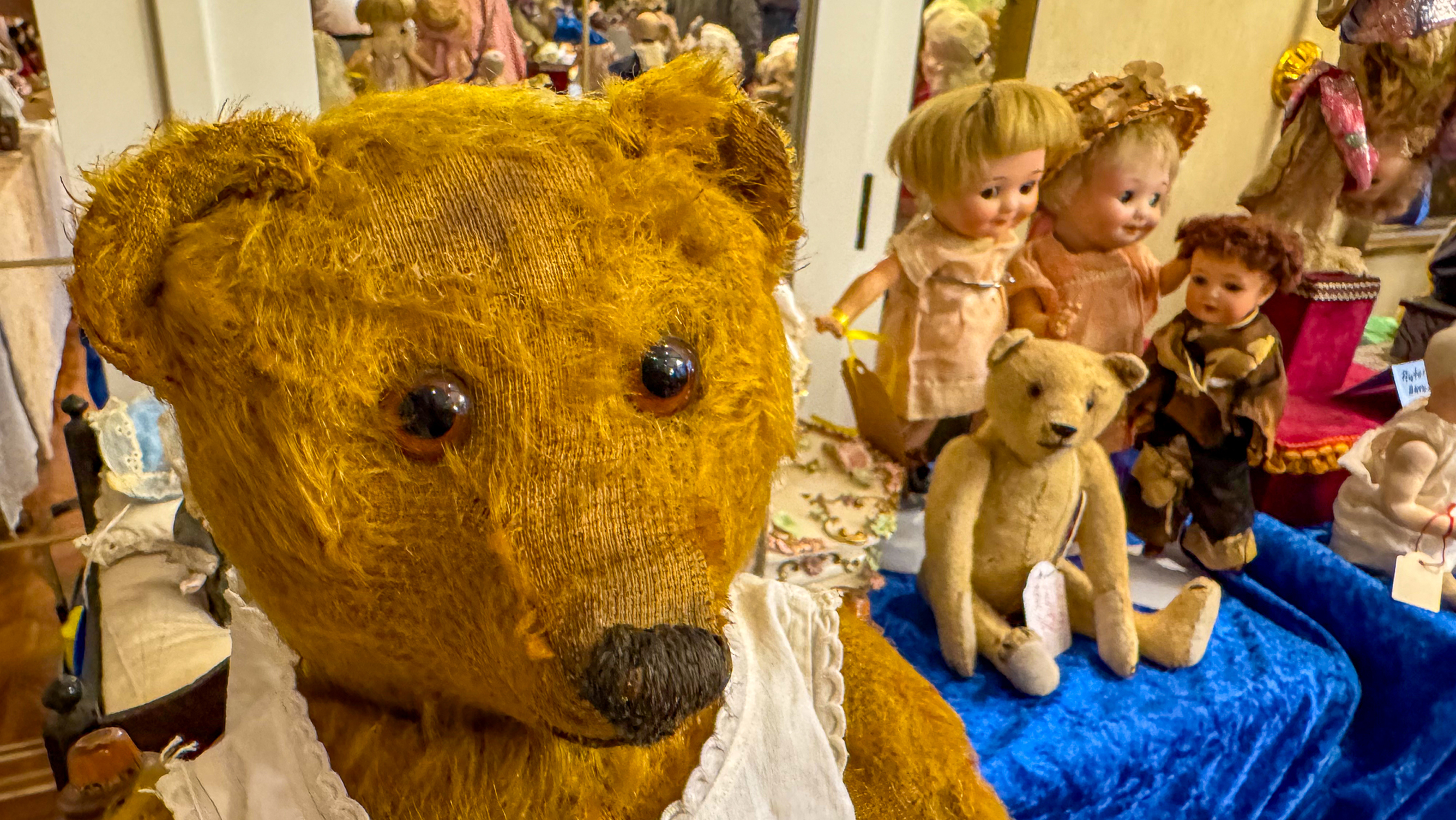 Porträt eines alten Sammler Teddybär