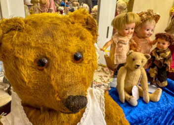 Porträt eines alten Sammler Teddybär